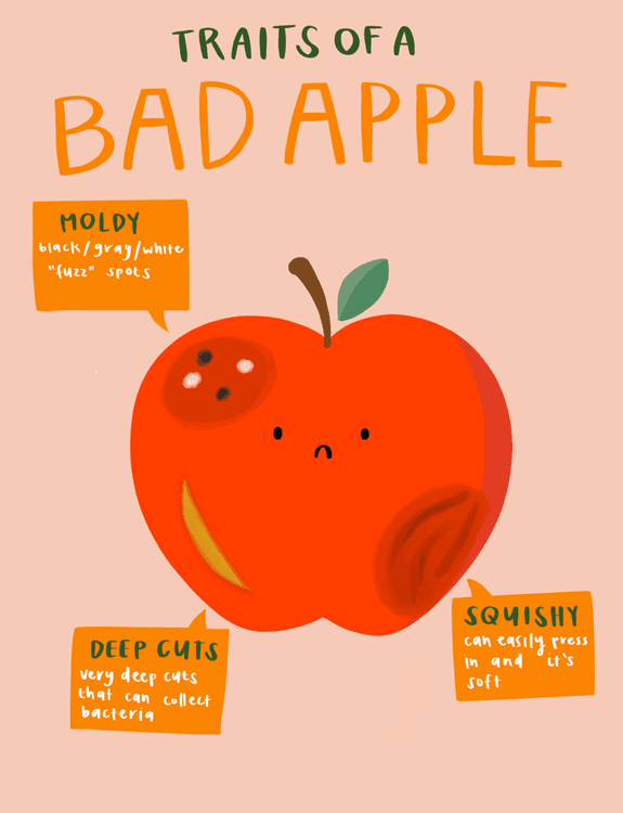 infographic apron sketch contrasting good tomato and bad tomato (moldy, deep cuts, squishy)