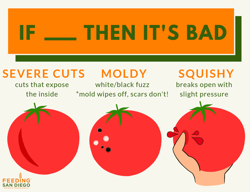 infographic poster on apron showing if ___ then it's bad with severe cuts (cuts that expose the inside), moldy (white/black fuzz *mold wipes off, scars don't), and squishy (breaks open with slight pressure) tomatoes